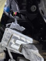 IMG_0005.jpeg IMG_0005.jpeg