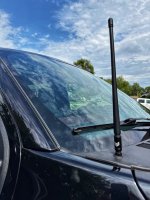 IMG_0008.jpeg IMG_0008.jpeg