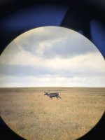 IMG_5884.jpeg