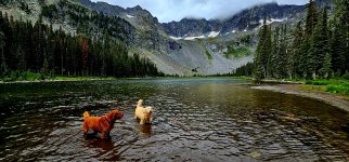 20250808_122624_copy_1600x747.jpg 20250808_122624_copy_1600x747.jpg