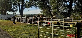 20250809_072234_copy_1600x747.jpg 20250809_072234_copy_1600x747.jpg