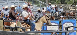 20250809_140811_copy_1600x747.jpg 20250809_140811_copy_1600x747.jpg