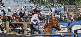 20250809_140902_copy_1600x747.jpg 20250809_140902_copy_1600x747.jpg