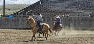 20250809_135323_copy_1600x747.jpg 20250809_135323_copy_1600x747.jpg