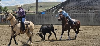 20250809_135237_copy_1600x747.jpg 20250809_135237_copy_1600x747.jpg