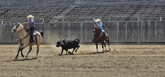 20250809_135234_copy_1600x747.jpg 20250809_135234_copy_1600x747.jpg