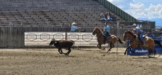 20250809_135201_copy_1600x747.jpg 20250809_135201_copy_1600x747.jpg