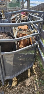 20250809_140032_copy_349x747.jpg 20250809_140032_copy_349x747.jpg