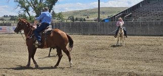 20250809_135544_copy_1600x747.jpg 20250809_135544_copy_1600x747.jpg