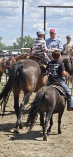 20250809_133706_copy_349x747.jpg 20250809_133706_copy_349x747.jpg