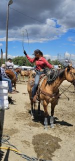 20250809_140135_copy_349x747.jpg 20250809_140135_copy_349x747.jpg