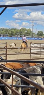 20250809_140719_copy_349x747.jpg 20250809_140719_copy_349x747.jpg