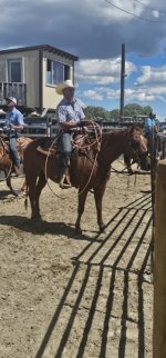 20250809_135516_copy_349x747.jpg 20250809_135516_copy_349x747.jpg