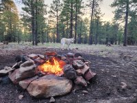 20250820_185401.jpg 20250820_185401.jpg