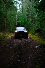 March Pemberton Trip export-117.jpg