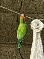 20240122_084634.jpg 20240122_084634.jpg