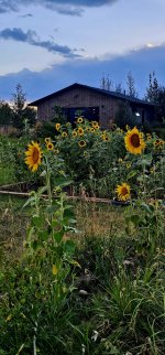 20250820_195615_copy_1200x2570.jpg 20250820_195615_copy_1200x2570.jpg