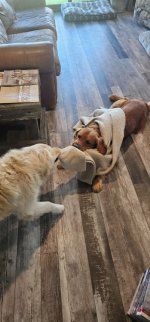 20250818_154213_copy_349x747.jpg 20250818_154213_copy_349x747.jpg