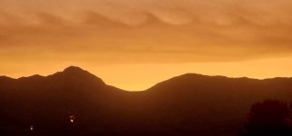 20250820_060905_copy_1600x747.jpg 20250820_060905_copy_1600x747.jpg