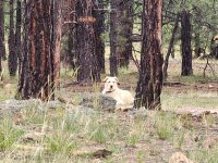 20250821_171900.jpg 20250821_171900.jpg