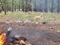 20250821_172422.jpg 20250821_172422.jpg