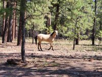 20250822_101125.jpg 20250822_101125.jpg