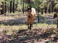 20250822_101333.jpg 20250822_101333.jpg