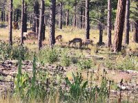 20250823_081843.jpg 20250823_081843.jpg