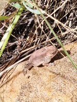 20250822_093232.jpg 20250822_093232.jpg