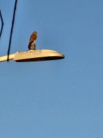 20241021_171110.jpg 20241021_171110.jpg