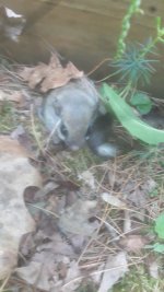 20250528_192621.jpg 20250528_192621.jpg