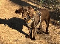 IMG_5026.jpeg IMG_5026.jpeg