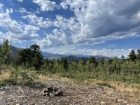 BD563AFA-98AA-479E-8AB3-1D17964A5313.jpeg BD563AFA-98AA-479E-8AB3-1D17964A5313.jpeg