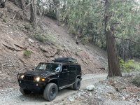 IMG_6026.jpeg