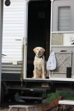 IMG_0005.JPG IMG_0005.JPG