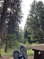 IMG_2300.jpeg