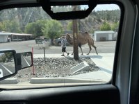 IMG_2285.jpeg