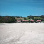 IMG_20250704_113800_432.jpg IMG_20250704_113800_432.jpg