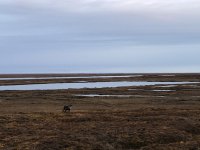 IMG_6420.jpeg