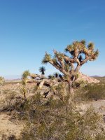 IMG_20250516_091908_139.jpg