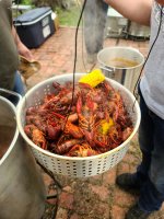 20230521_164122.jpg 20230521_164122.jpg