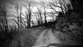 RC 25-372.jpg RC 25-372.jpg