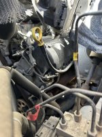 IMG_9219.jpeg