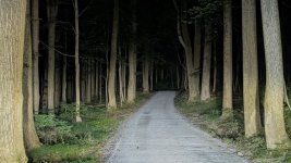 RC 25-379.jpg RC 25-379.jpg