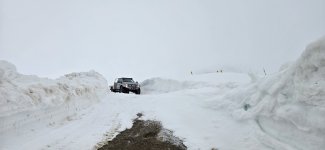 20250520_101656.jpg 20250520_101656.jpg