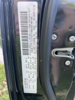 IMG_8214-compressed.jpeg