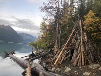 IMG_6616.jpeg IMG_6616.jpeg