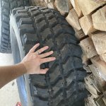 IMG_0841.jpeg IMG_0841.jpeg