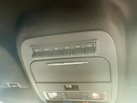 IMG_6193.jpeg