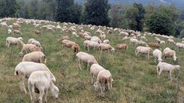 RC 25-389.jpg RC 25-389.jpg